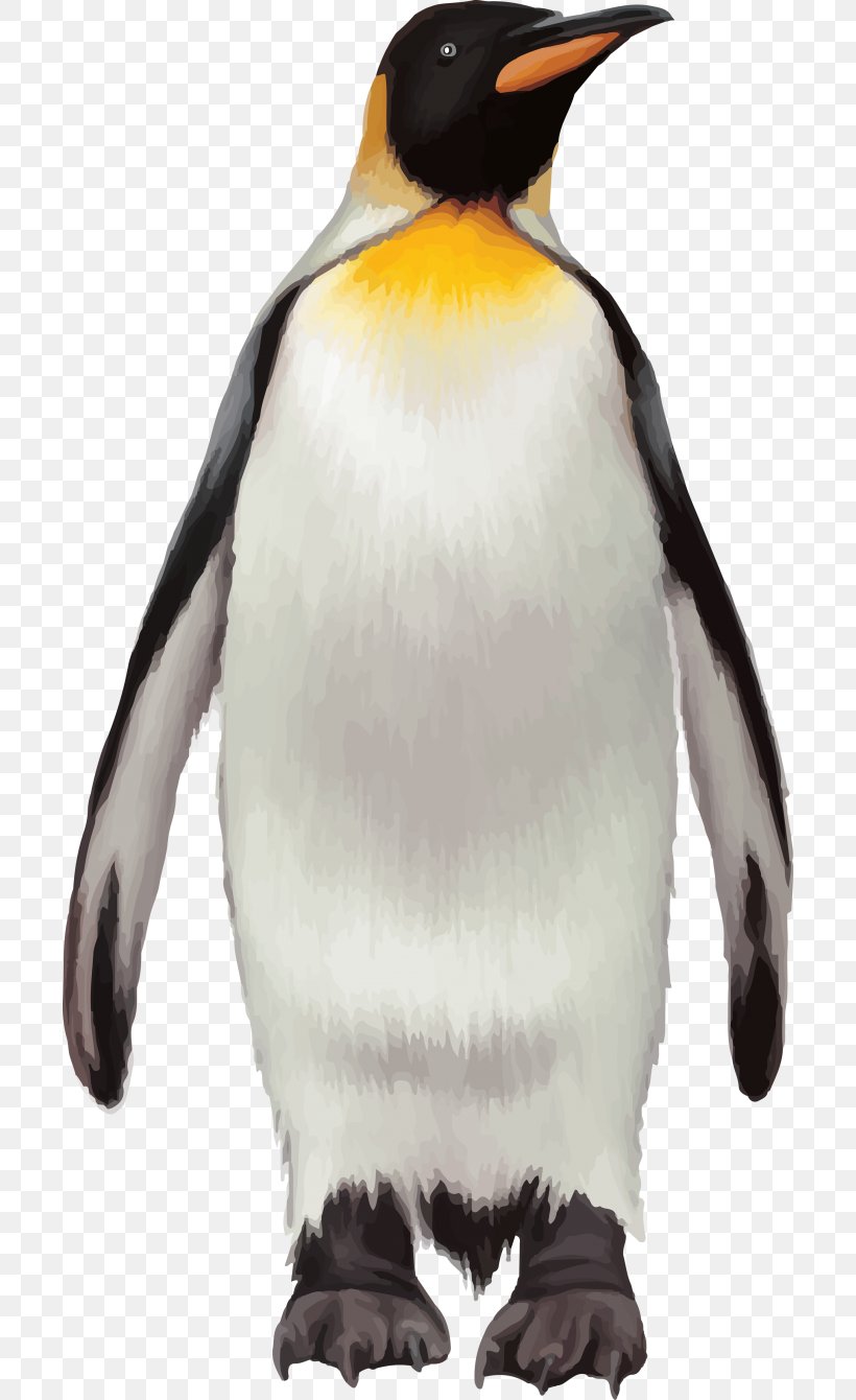 Penguin Bird, PNG, 700x1340px, Penguin, Animal, Animal Figure, Beak, Bird Download Free