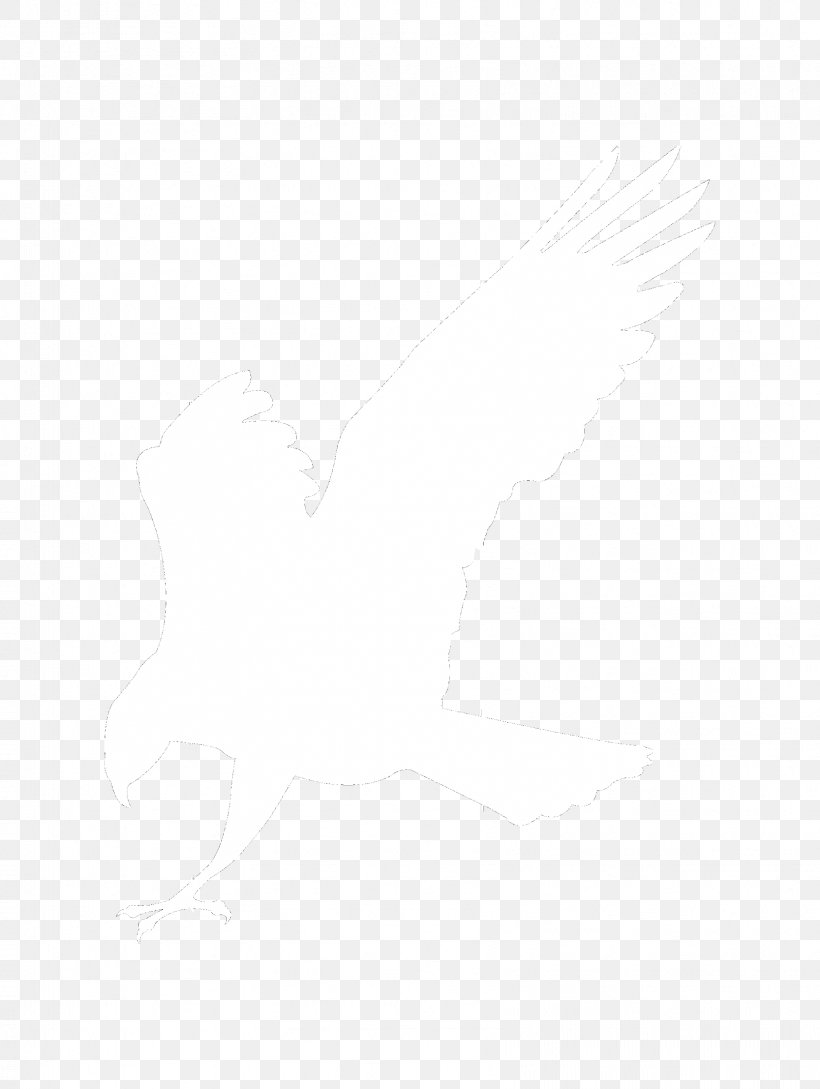 Eagle Logo White Silhouette, PNG, 1667x2214px, Eagle, Art, Beak, Bird, Bird Of Prey Download Free