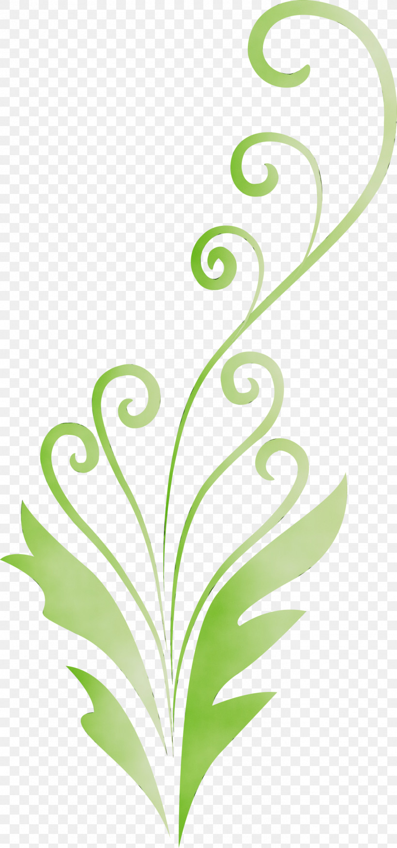 Green Leaf Plant Pedicel Plant Stem, PNG, 1406x2999px, Flower Frame, Decoration Frame, Floral Frame, Flower, Green Download Free