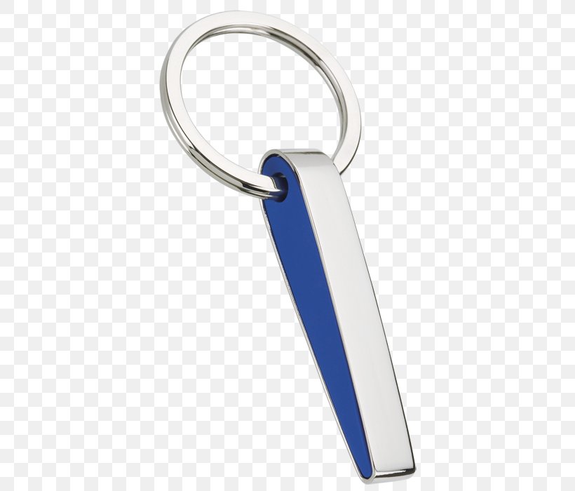 Key Chains Clothing Accessories, PNG, 700x700px, Key Chains, Clothing Accessories, Fashion, Fashion Accessory, Keychain Download Free