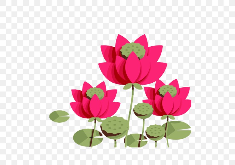 Nelumbo Nucifera Mid-Autumn Festival Cartoon Clip Art, PNG, 600x577px, Nelumbo Nucifera, Aquatic Plant, Cartoon, Drawing, Festival Download Free