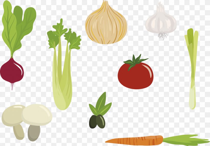 Organic Food Shallot Vegetarian Cuisine Illustration, PNG, 2849x1990px, Organic Food, Commodity, Cutlery, Diet Food, Food Download Free