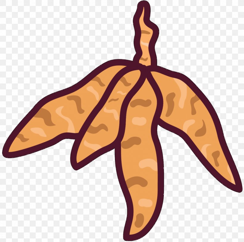 Clip Art Illustration Euclidean Vector Vector Graphics, PNG, 1045x1035px, Marine Invertebrates, Agriculture, Artist, Banana, Echinoderm Download Free