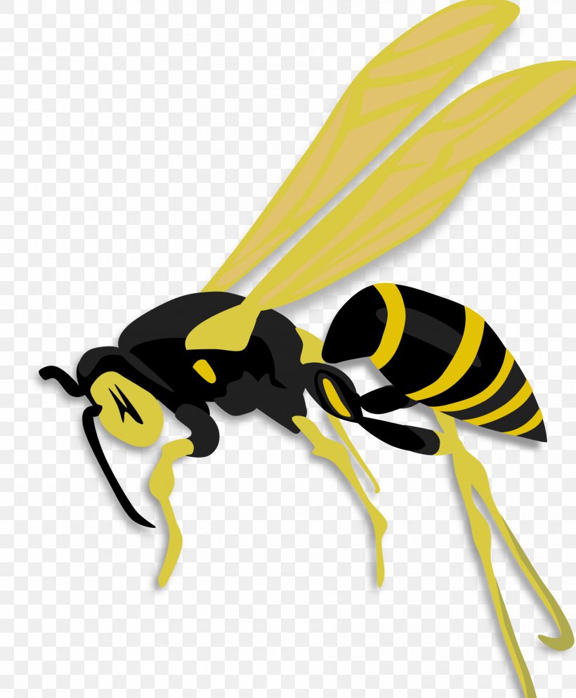 Insect Honey Bee Hornet Wasp, PNG, 1783x2160px, Insect, Animal, Arthropod, Bee, Fly Download Free