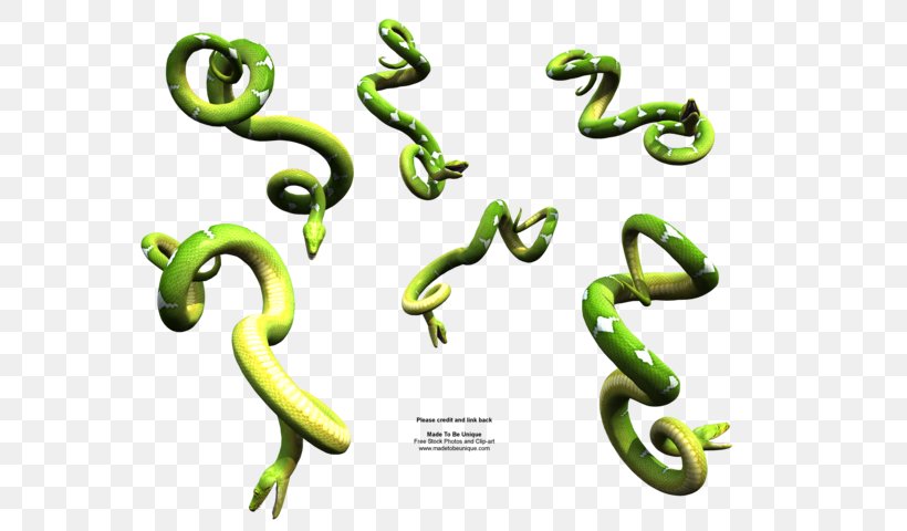 Corn Snake Reptile Dwarf Burmese Python Ball Python, PNG, 600x480px, Snake, African Rock Python, Ball Python, Boa Constrictor, Boas Download Free