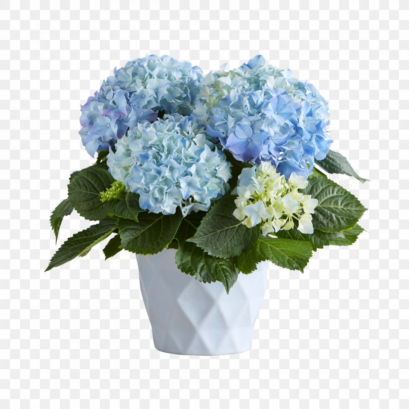 Hydrangea Floral Design Cut Flowers Flower Bouquet, PNG, 1800x1800px, Hydrangea, Artificial Flower, Blue, Cornales, Cut Flowers Download Free