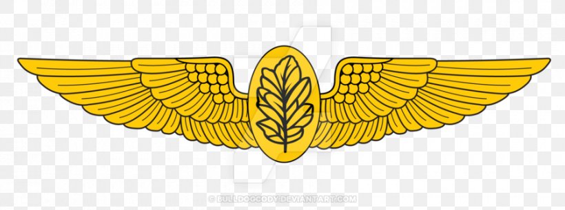 Naval Aviation United States Of America United States Navy Aircraft Pilot, PNG, 900x335px, Naval Aviation, Air Force, Aircraft Pilot, Aircrew Badge, Butterfly Download Free