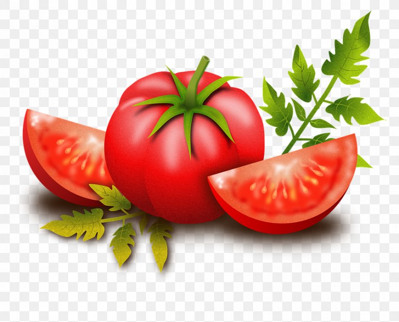 Tomato Pizza Vegetable Clip Art, PNG, 891x720px, Tomato, Bush Tomato, Diet Food, Earth Day Sunday, Food Download Free