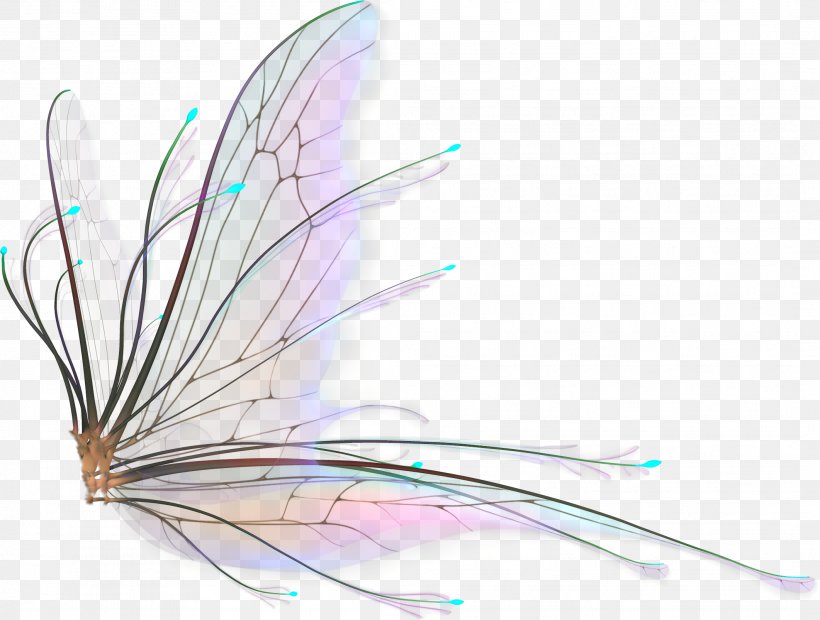 Simple Sketches Of Fairy Wings Stock Vector By ©blueringmedia 53143057 |  lupon.gov.ph