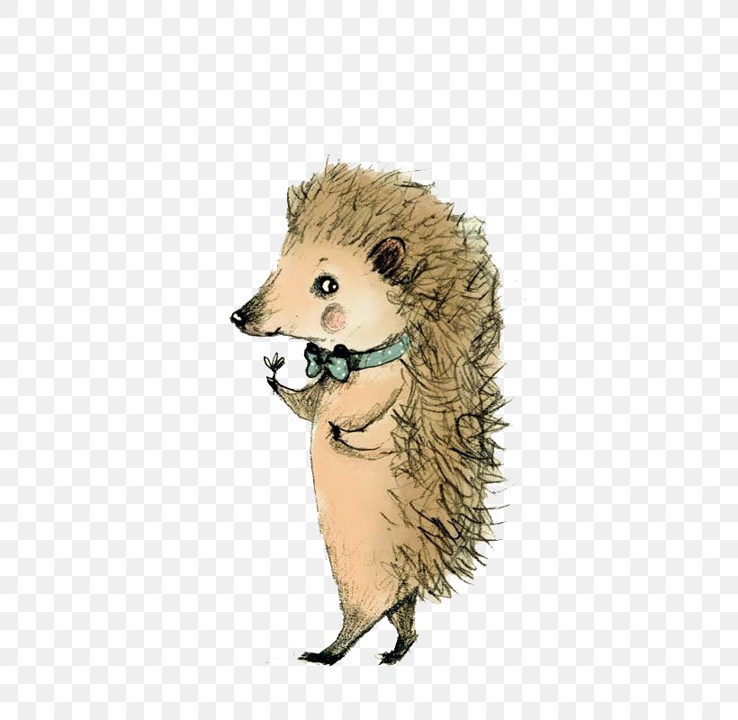 Hedgehog Koala Horse Animal Art, PNG, 533x800px, Hedgehog, Alphabet, Animal, Art, Carnivoran Download Free