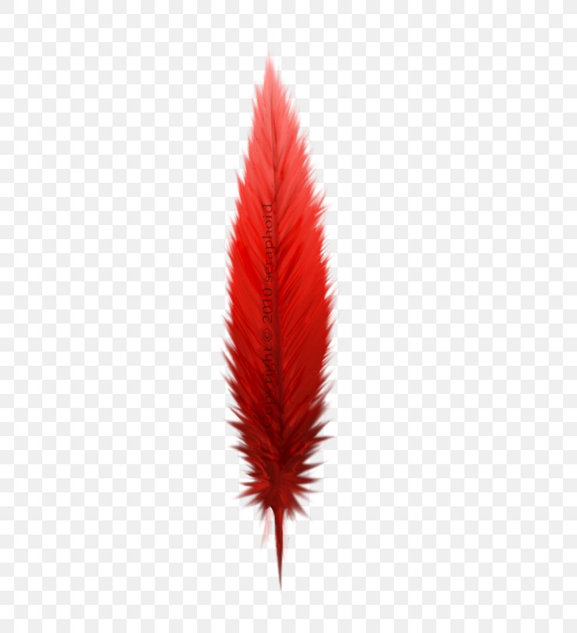 Leaf Northern Cardinal Feather, PNG, 444x900px, Leaf, Feather, Northern Cardinal, Wing Download Free