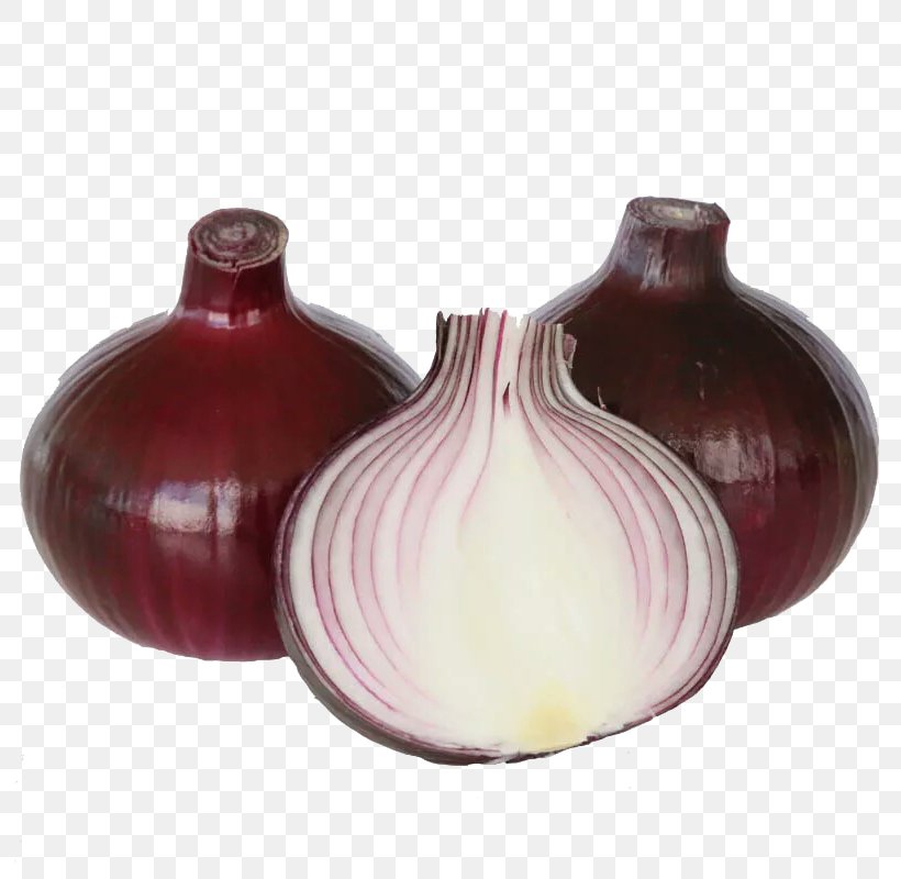 Red Onion Purple Vegetable, PNG, 800x800px, Red Onion, Allium Fistulosum, Artifact, Ceramic, Garlic Download Free