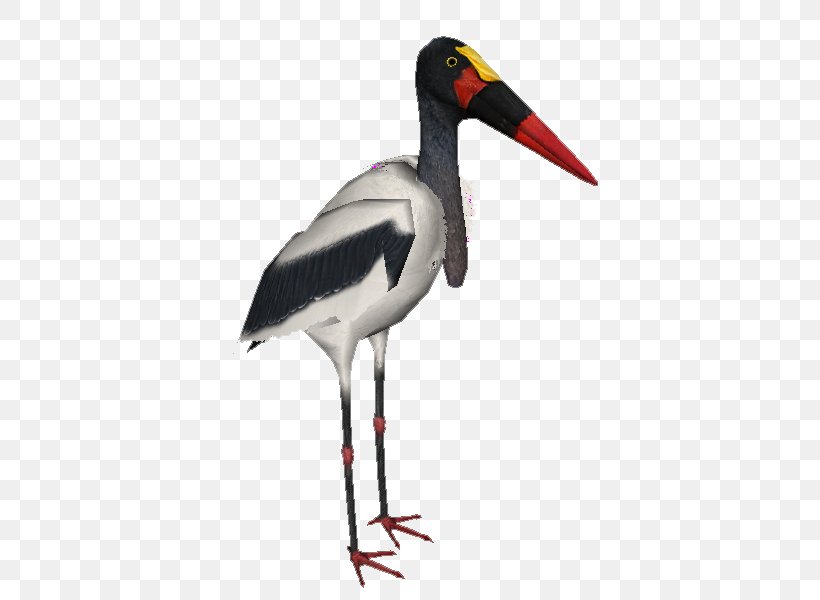 White Stork Zoo Tycoon 2 Saddle-billed Stork Yellow-billed Stork, PNG, 509x600px, White Stork, Animal, Beak, Bird, Black Stork Download Free