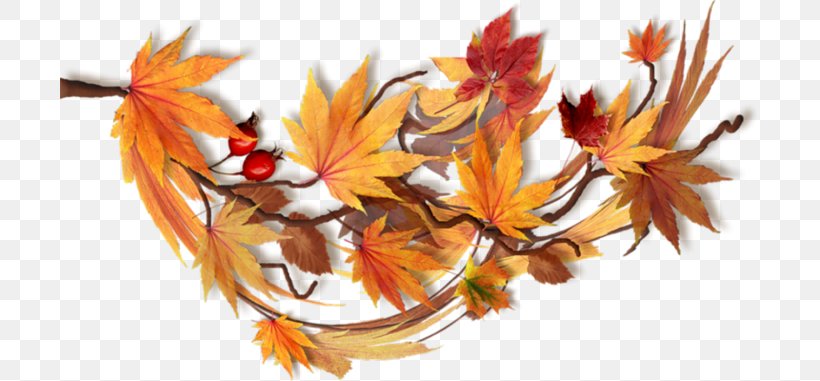 Autumn Maple Leaf Nature Calendar, PNG, 699x381px, Autumn, Calendar, Daytime, Ecology, Flower Download Free