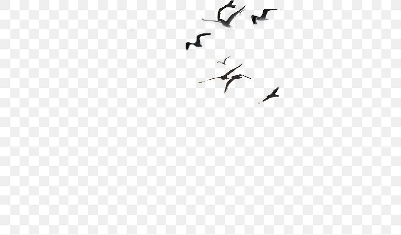 Bird Migration Crane Wing Flock, PNG, 651x481px, Bird, Animal Migration, Beak, Bird Migration, Black And White Download Free