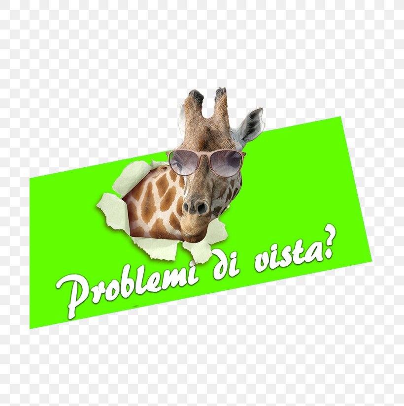 Giraffe Display Window Customer Vetrofania Decoratie, PNG, 700x825px, Giraffe, Animal, Cattle, Customer, Decoratie Download Free