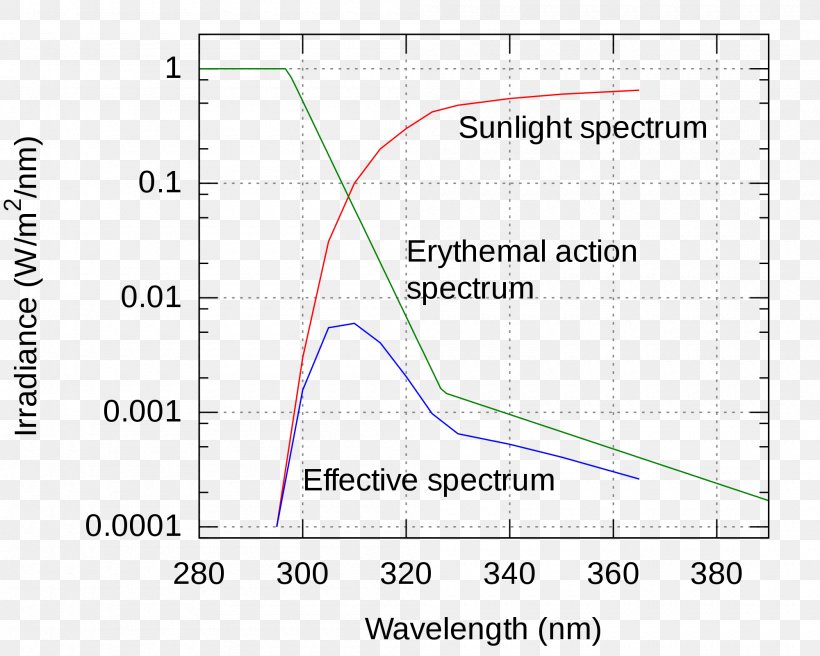 Logarithmic Scale Log–log Plot Cartesian Coordinate System Document, PNG, 2000x1600px, Logarithmic Scale, Area, Cartesian Coordinate System, Diagram, Document Download Free