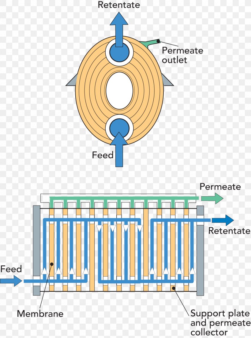 Membrane Technology Retentat Filter Press Filtration, PNG, 1200x1621px, Membrane, Area, Brand, Communication, Diagram Download Free