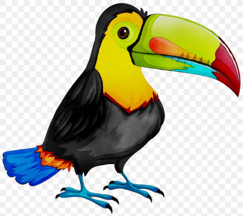 Bird Clip Art Drawing Illustration Image, PNG, 1114x990px, Bird, Animal, Art, Art Museum, Beak Download Free