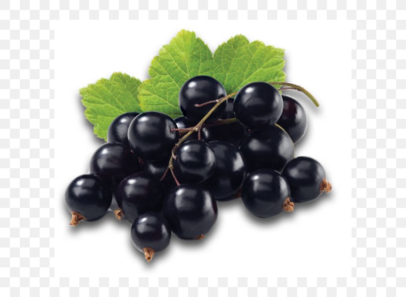 Blackcurrant Juice Redcurrant Berry Fruit, PNG, 600x600px, Blackcurrant, Berry, Bilberry, Black Raspberry, Blackberry Download Free