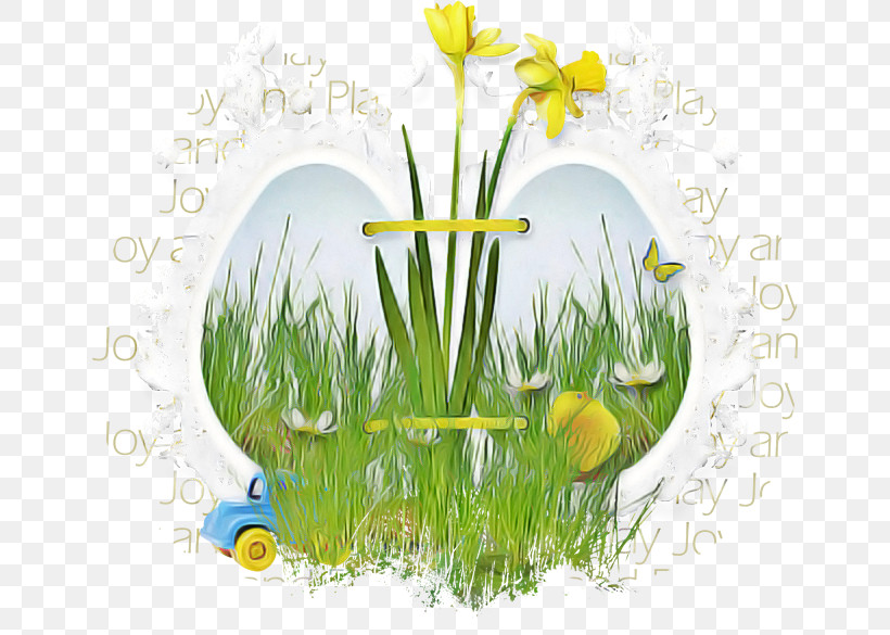 Grass Yellow Flower Plant Spring, PNG, 650x585px, Grass, Amaryllis Family, Camomile, Easter, Flower Download Free