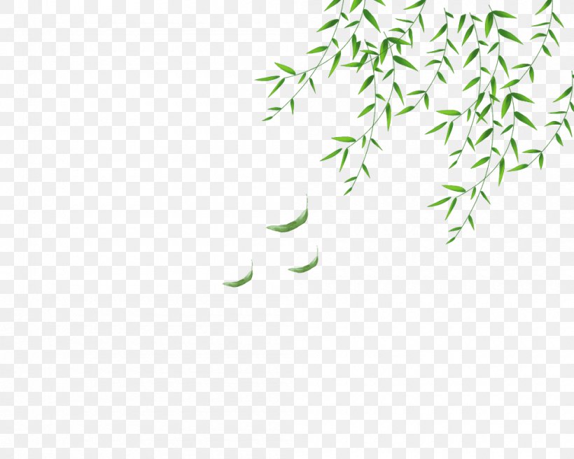 Leaf Willow Computer File, PNG, 1000x800px, Leaf, Branch, Drawing, Flora, Flower Download Free