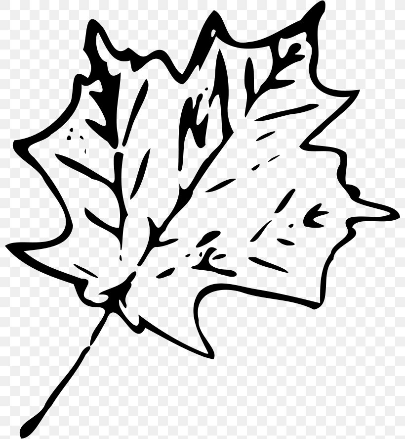 Maple Leaf Clip Art, PNG, 800x887px, Maple Leaf, Artwork, Autumn, Autumn Leaf Color, Black And White Download Free