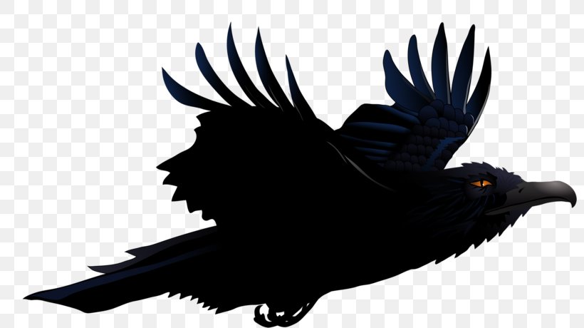 Common Raven Clip Art Vector Graphics Image, PNG, 800x460px, Common Raven, Beak, Bird, Crow, Crowlike Bird Download Free