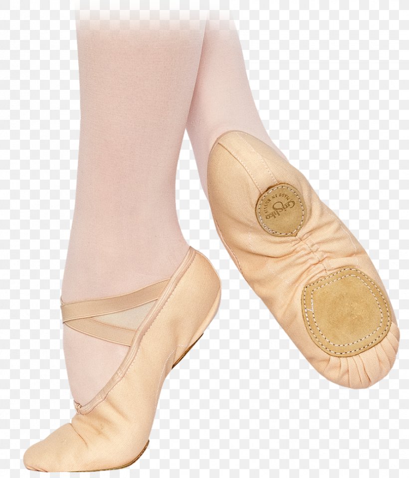 Slipper Ballet Shoe Pointe Shoe Dance, PNG, 830x970px, Watercolor, Cartoon, Flower, Frame, Heart Download Free