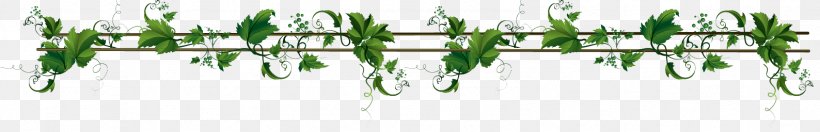 Vine Header Clip Art, PNG, 1588x256px, Vine, Branch, Grass, Grass Family, Header Download Free