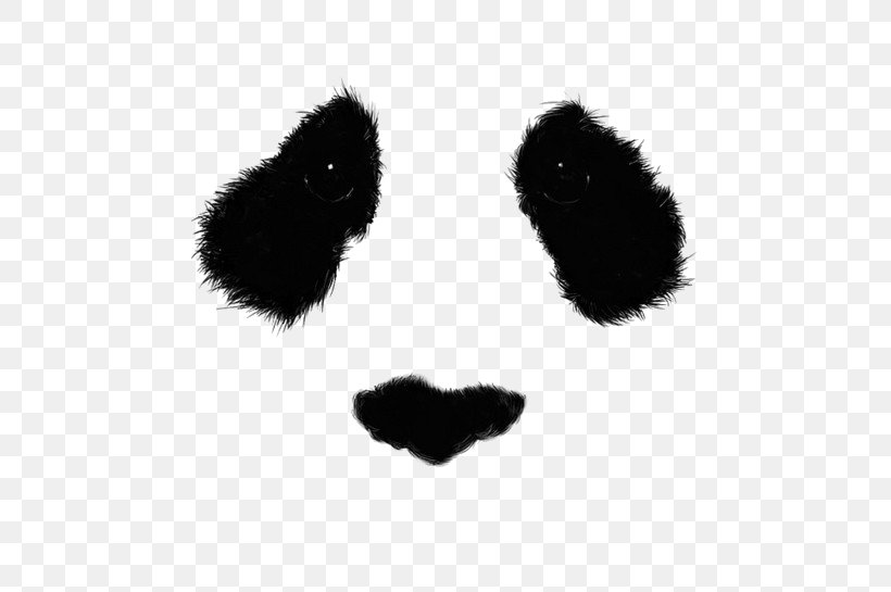 Giant Panda Drawing Bear Eye Art, PNG, 500x545px, Giant Panda, Art, Bear, Black, Black And White Download Free