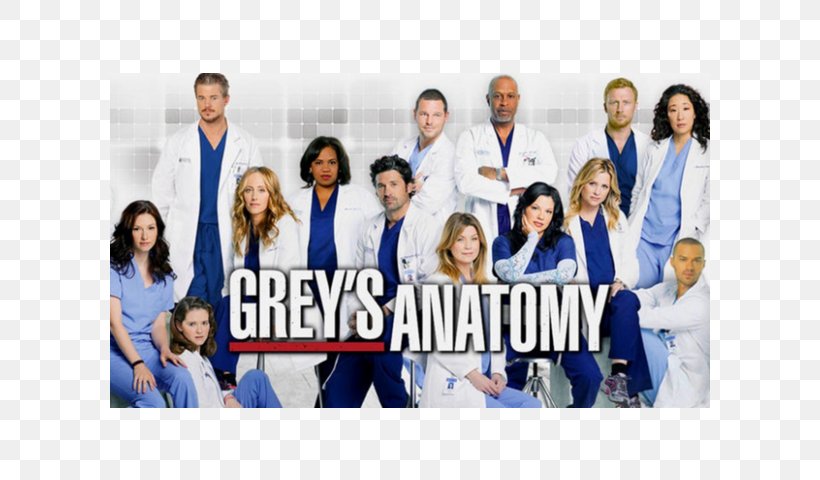 Grey's Anatomy, PNG, 600x480px, Anatomy, Blue, Community, Episode, Job Download Free