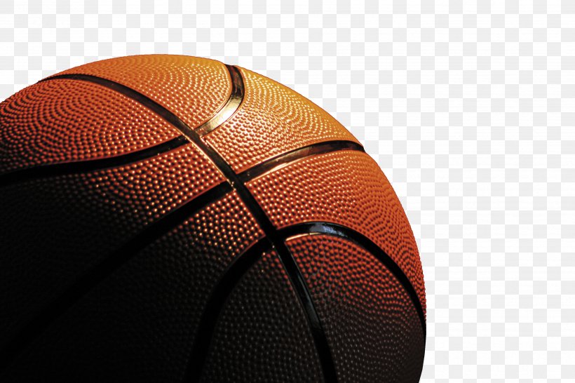 Michigan Wolverines Men's Basketball SEC Women's Basketball Tournament, PNG, 3456x2304px, Basketball, Ball, Championship, Coach, Football Download Free