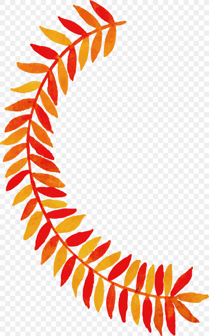 Autumn Leaf Colorful Leaf, PNG, 1867x3000px, Autumn Leaf, Biology, Colorful Leaf, Leaf, Line Download Free