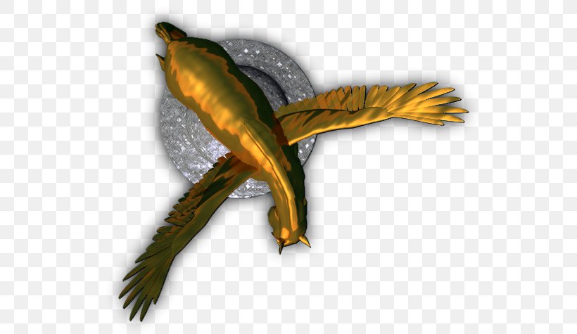 Beak Amphibian Fauna Feather Tail, PNG, 566x475px, Beak, Amphibian, Bird, Fauna, Feather Download Free