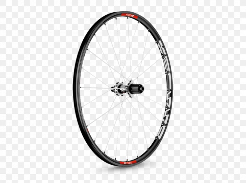 Bicycle Wheels DT Swiss Bicycle Tires Mountain Bike, PNG, 900x670px, Bicycle Wheels, Alloy Wheel, Automotive Wheel System, Bicycle, Bicycle Accessory Download Free