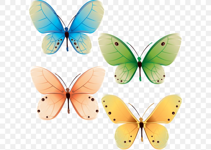 Butterfly Vector Graphics Graphic Design, PNG, 600x583px, Butterfly, Art, Arthropod, Brush Footed Butterfly, Butterflies And Moths Download Free