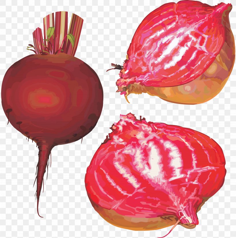 Common Beet Beetroot Clip Art, PNG, 5211x5237px, Sugar Beet, Beet, Beetroot, Common Beet, Food Download Free