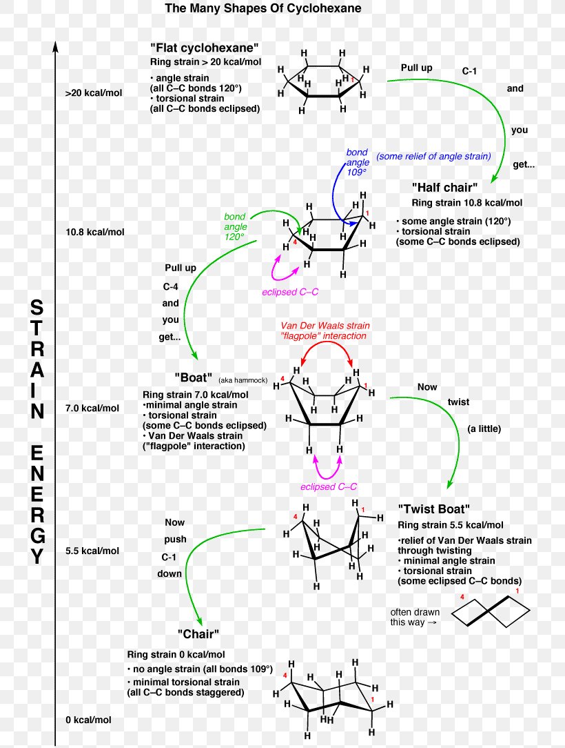 Cyclohexane Conformation Organic Chemistry Substituent, PNG, 738x1084px, Cyclohexane, Alcohol Oxidation, Area, Aromatic Hydrocarbon, Biochemistry Download Free