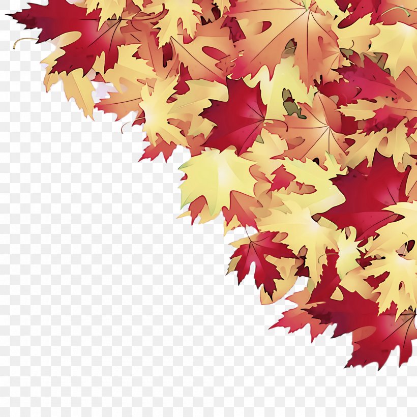 Maple Leaf, PNG, 2000x2000px, Leaf, Black Maple, Maple, Maple Leaf, Plant Download Free