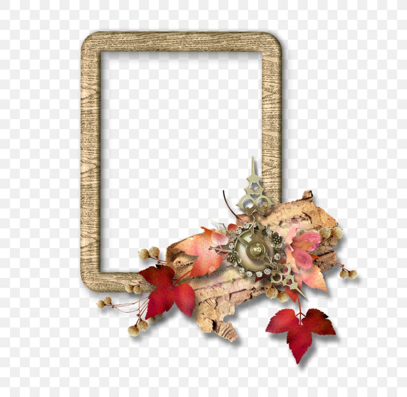 Picture Frames Photography, PNG, 800x800px, Picture Frames, Christmas Ornament, Concepteur, Field, Film Frame Download Free