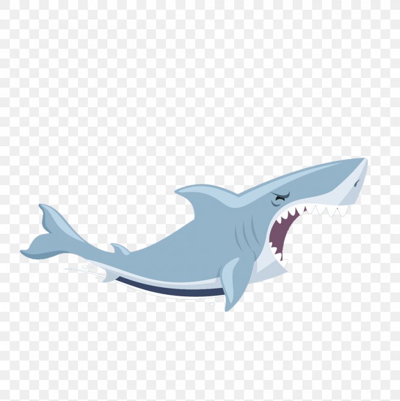 Shark Illustration, PNG, 996x1000px, Shark, Blue, Cartilaginous Fish, Drawing, Fish Download Free