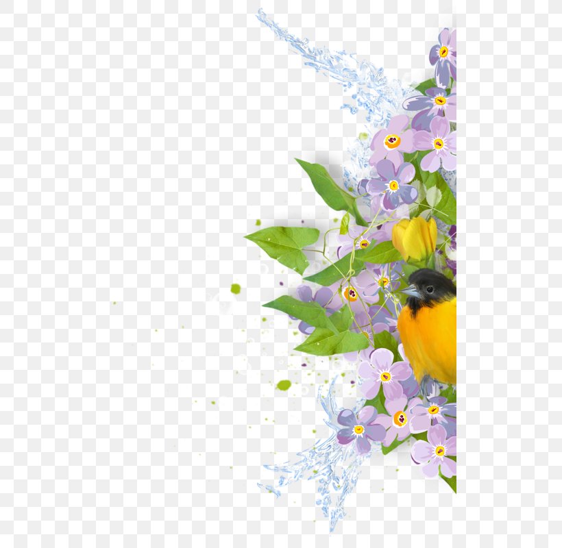 Bird Yellow Purple Clip Art, PNG, 513x800px, Bird, Blossom, Branch, Cartoon, Color Download Free