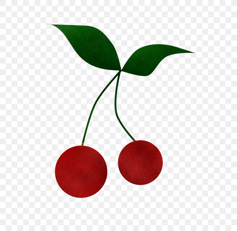 Cherry Red Leaf Plant Fruit, PNG, 800x800px, Cherry, Drupe, Flower, Food, Fruit Download Free