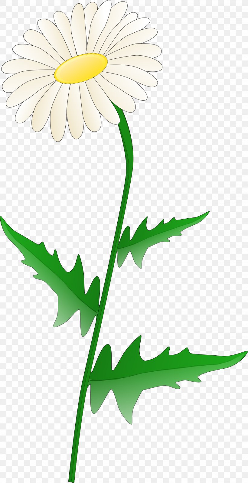Desktop Wallpaper Common Daisy Clip Art, PNG, 1232x2400px, Common Daisy, Artwork, Chamomile, Chrysanths, Cut Flowers Download Free