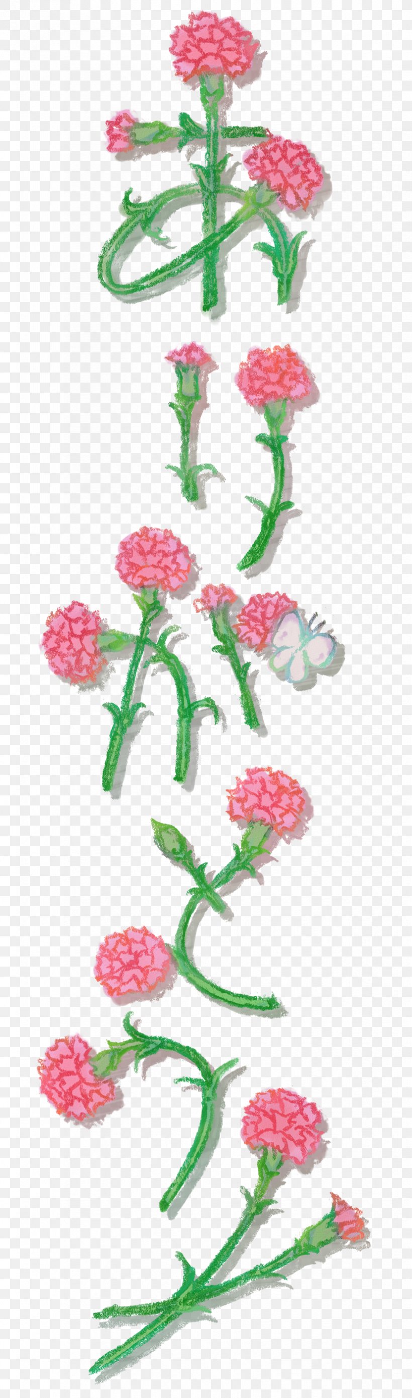 Book Illustration Horisontal Og Vertikal Skrift I Øst-Asia, PNG, 828x2805px, Book Illustration, Carnation, Flora, Floral Design, Flower Download Free