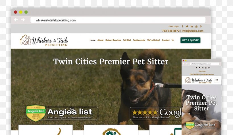 Dog Screenshot Video Multimedia Font, PNG, 1000x582px, Dog, Brand, Dog Like Mammal, Grass, Media Download Free