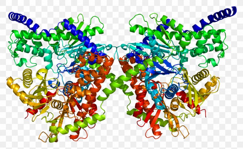 HK1 Hexokinase Deficiency Gene Enzyme, PNG, 966x595px, Hexokinase, Art, Cytokine, Cytokine Release Syndrome, Deficiency Download Free