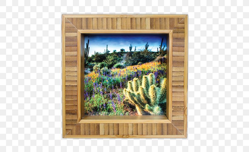 Majorelle Garden Majorelle Blue Wood Picture Frames Citroën Cactus M, PNG, 700x500px, Majorelle Garden, Blue, Cactus, Majorelle Blue, Picture Frame Download Free