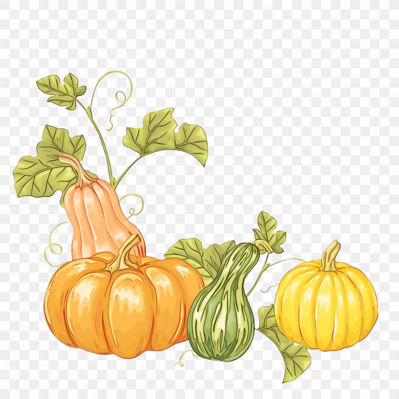 Pumpkin, PNG, 2000x2000px, Watercolor, Calabaza, Cucurbita, Food, Gourd Download Free